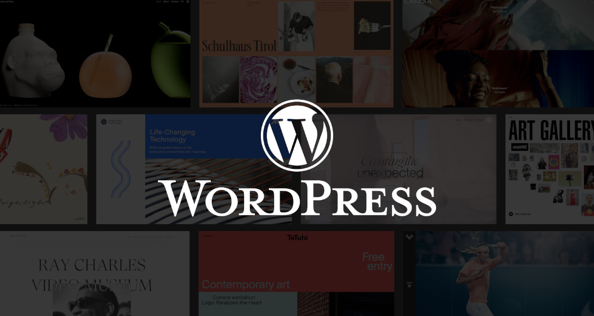 #2 wordpress